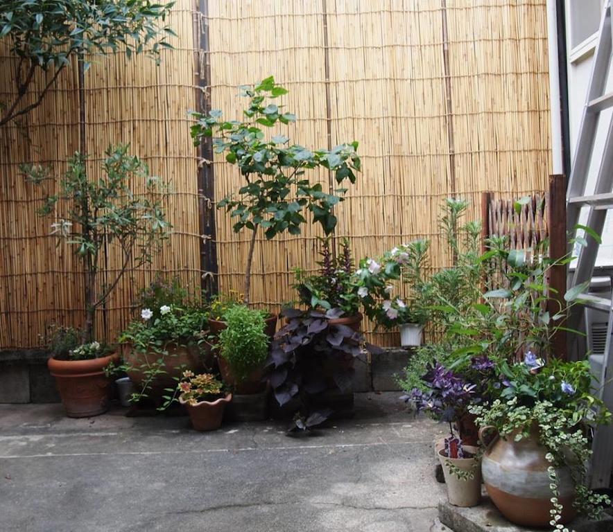 Guesthouse Usagi-Momiji Kjóto Exteriér fotografie